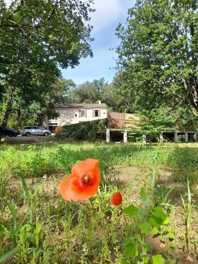Le Mas Du Coquelicot Dions Exteriör bild